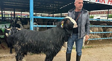Bursa’da Kurban Pazarı Hareketlendi