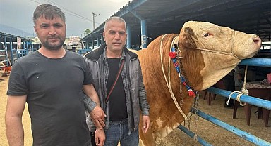 Bursa’da kurbanlık satışlarında hareketlilik