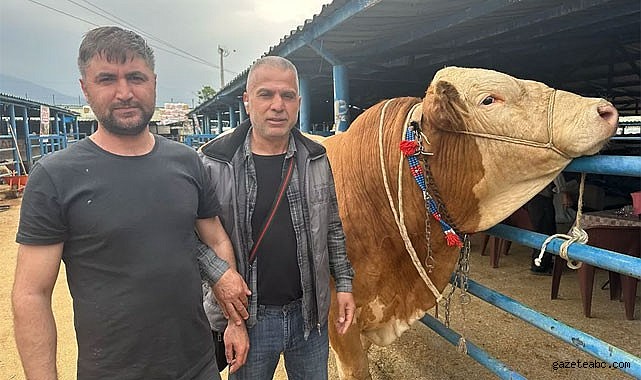 Bursa’da kurbanlık satışlarında hareketlilik