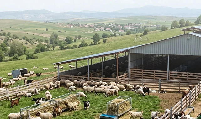 Çiftçilere 5,48 milyar TL tarımsal destek ödemeler hesaplarda