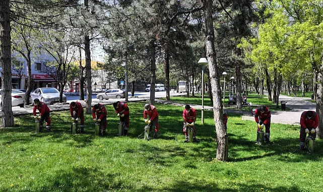 Kayseri Kocasinan'da açık alanlarda yoğun ilaçlama