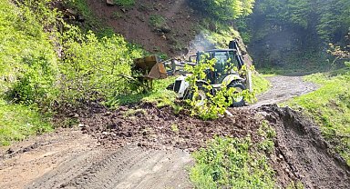 Ordu'da kuvvetli yağış sonrası 120 heyelan