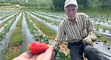 Yüksek girdi maliyetleri üreticiyi zorluyor