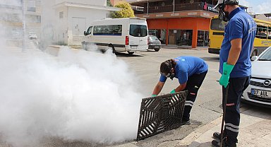 Antalya'da 19 ilçede yoğun vektörle mücadele