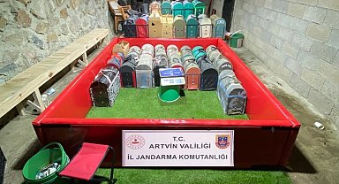 Artvin'de horoz dövüştürenlere rekor ceza