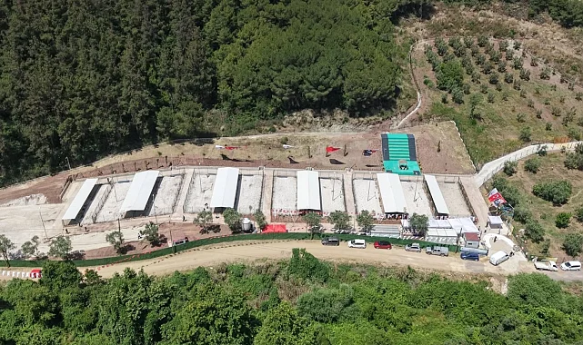 Bursa Gemlik'te sahipsiz hayvanlara modern yaşam alanı