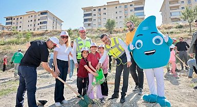 Denizli'de zeytin fidanları toprakla buluştu