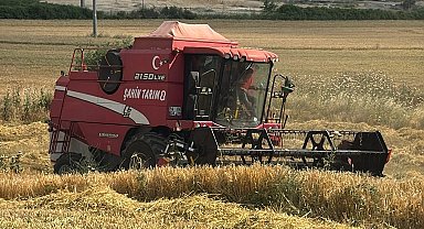 Edirne Keşan'da ilk arpa hasadı... Çiftçi fiyattan dertli
