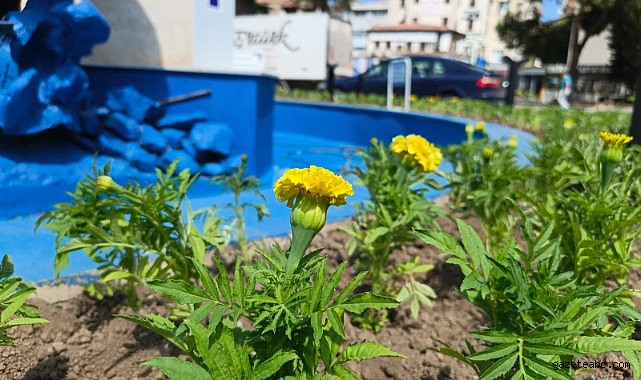 Gemlik’in Kalbi Yenileniyor
