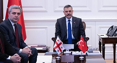 İçişleri Bakanlığı'nda Türkiye-Gürcistan temasları