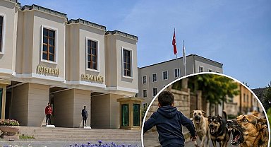 İçişleri'nden köpek saldırıları sonrası 3 belediye başkanı hakkında işlem... Muğla ve Erzurum'a soruşturma, Şanlıurfa'ya ön inceleme