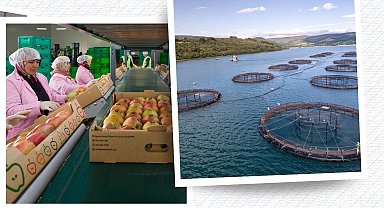 IPARD III'ten 30 milyon Avroluk çağrı