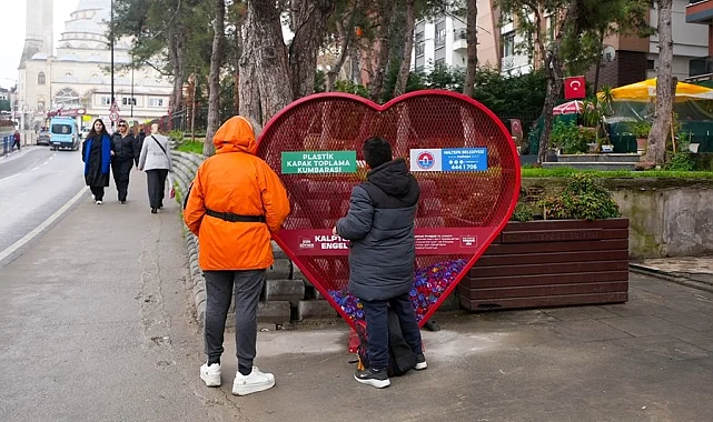 İstanbul Maltepe'de kapak kumbarası 8'e ulaştı