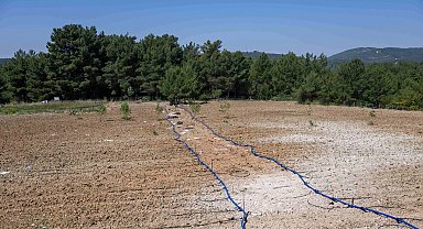 İzmir Bornova'da atıl topraklar üretime kazandırılıyor