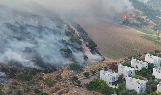 İzmir Dikili'de otluk ve zeytinlik alanda çıkan yangına müdahale sürüyor