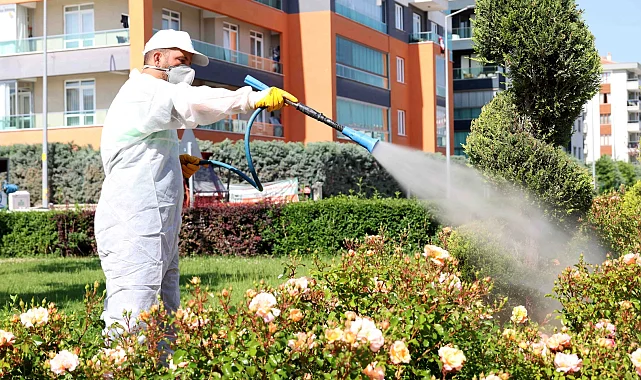 Konya Karatay'da ilaçlama çalışmaları sürüyor