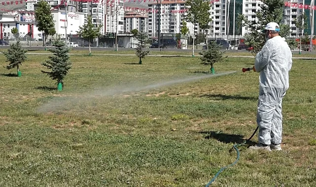 Malatya'da vektörel mücadele sürüyor