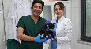 Ödüllü Merkezden Sokak Hayvanlarına Umut