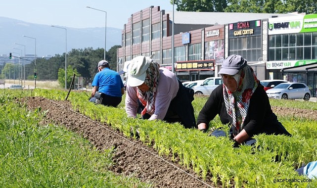 Osmangazi’de Park ve Bahçeler Çalışmalarıyla İlçe Rengârenk Görünüme Kavuşuyor
