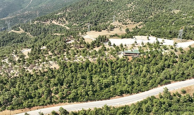 Yangın sonrası kapsamlı ıslah çalışması