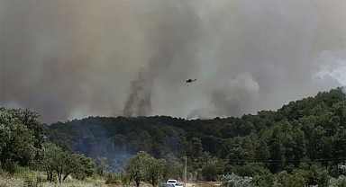 3 Bölgede Orman Yangını