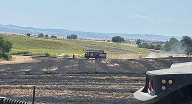 Aliçopehlivan Köyü'nde yangın: 50 dekar arazi zarar gördü