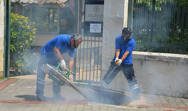 Antalya'da vektörel mücadele 4 koldan yürütülüyor