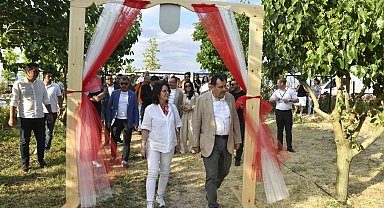 ATA Çiftliği'nde ilk dut toplandı
