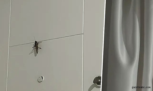Bakanlıktan "çekirge istilası" iddialarına yanıt