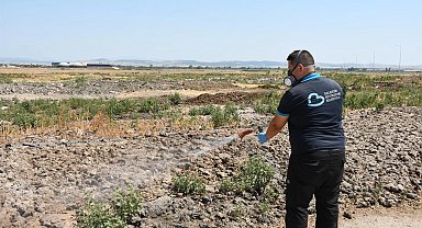 Balıkesir'de ilaçlama ekipleri 7/24 sahada