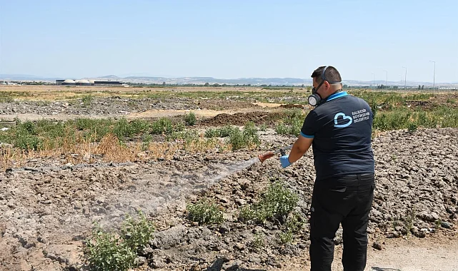 Balıkesir'de ilaçlama ekipleri 7/24 sahada