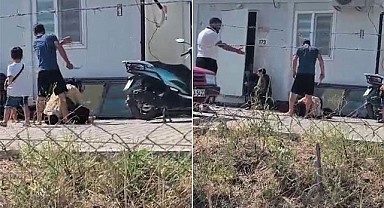 Çocuklarının Önünde Dehşet