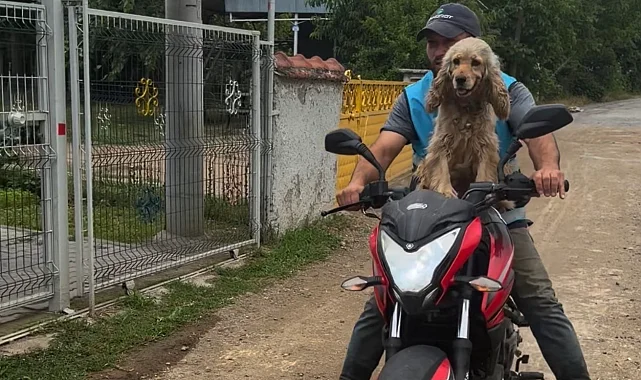 Düzce'de bir an olsun sahibi yalnız bırakmayan köpek gülümsetti