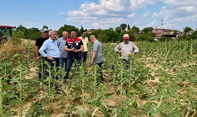 Edirne Keşan'da fırtına sonrası hasar tespiti başladı