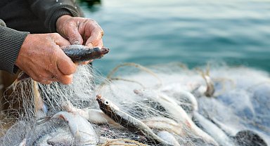 Egeli ihracatçılar Türkiye'nin su ürünleri ve hayvansal mamuller ihracatında liderliğini pekiştirdi