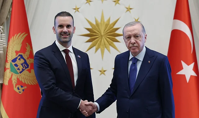 Erdoğan, Karadağ Başbakanı Spajiç'i kabul etti... Türkiye-Karadağ ilişkileri ele alındı