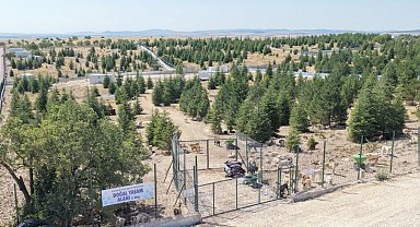Eskişehir Büyükşehir'den sahipsiz hayvanlara yeni proje