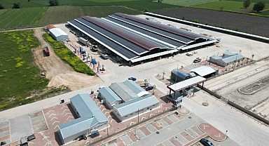 İnegöl Hayvan Pazarı yeniden açılıyor