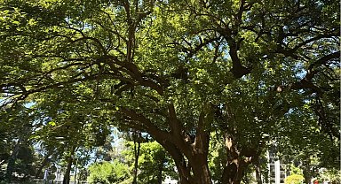İzmir'de Kültürpark'ın köklerine yolculuk