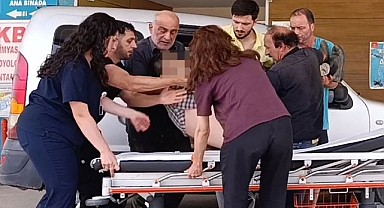 Mantar Ararken Kayalıklardan Düştü