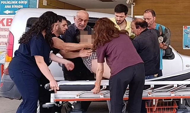 Mantar Ararken Kayalıklardan Düştü