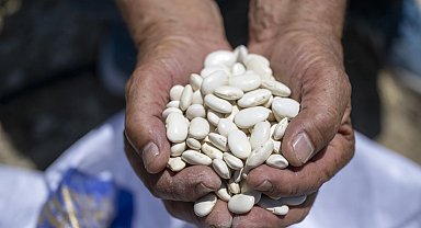 Mersin Büyükşehir'den Leklek fasulyesine destek