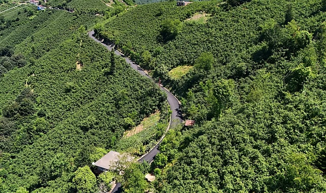 Ordu'da 3,5 kilometrelik asfalt tamamlandı